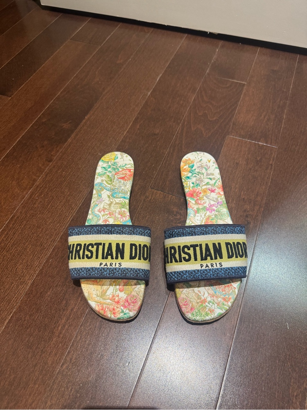 Christian Dior Slide Sandals